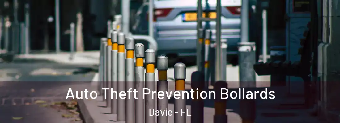 Auto Theft Prevention Bollards Davie - FL