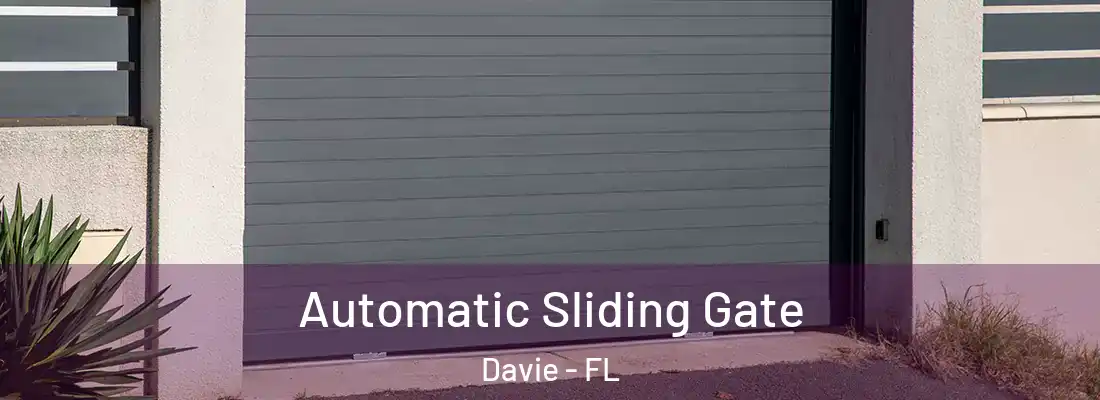  Automatic Sliding Gate Davie - FL