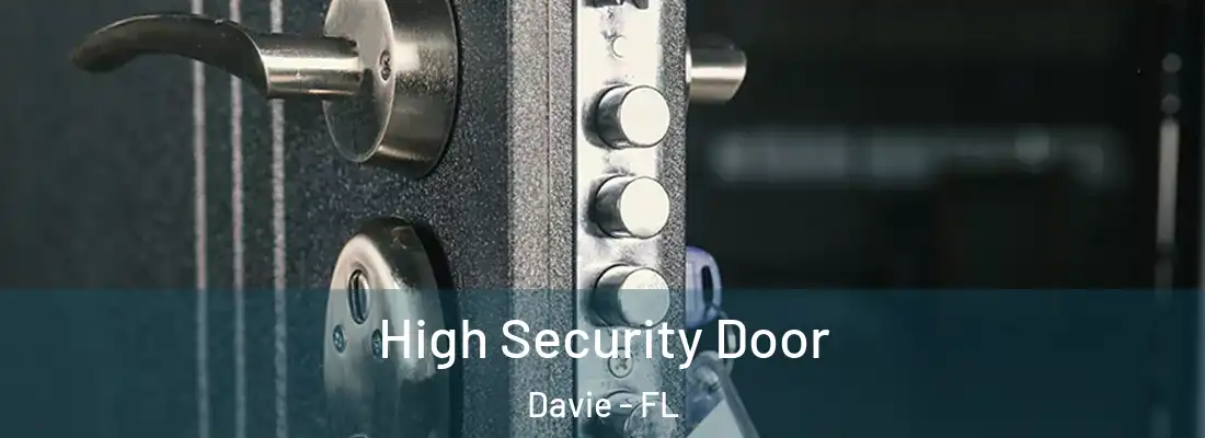 High Security Door Davie - FL