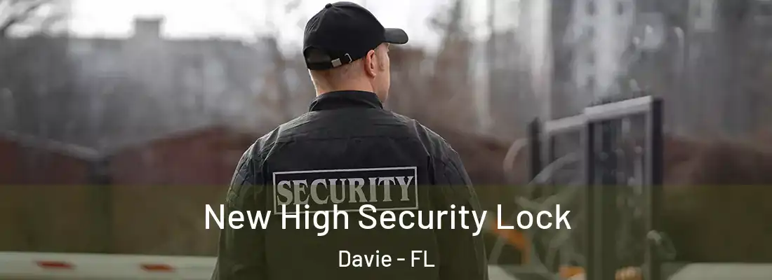  New High Security Lock Davie - FL